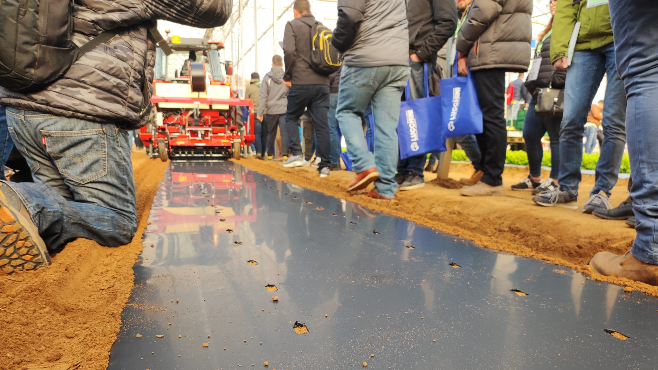 novamont-bioplasticos-biodegradables|novamont-bioplasticos-biodegradables|novamont-bioplasticos-biodegradables|riccardo-vaccaro-novamont-bioplasticos-biodegradables|rosa_puig_more_novamont